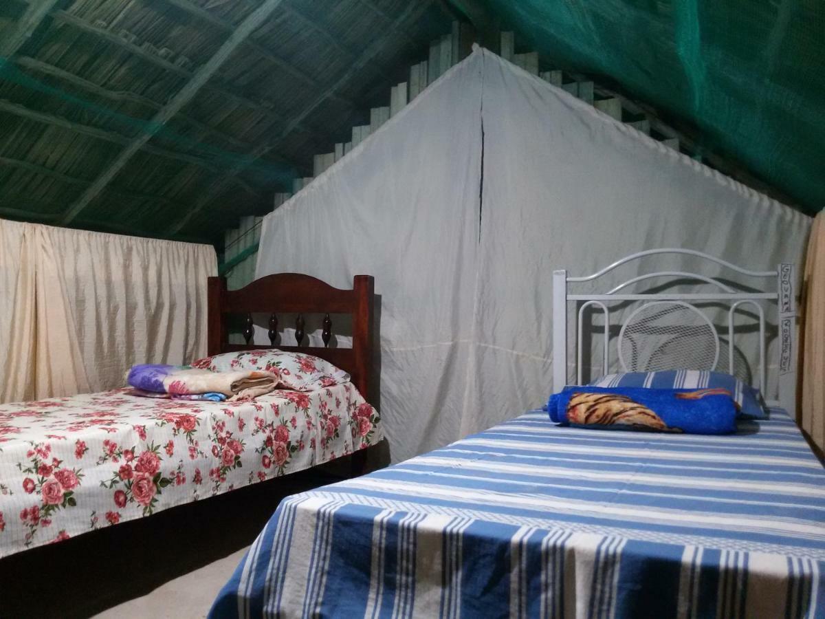 Refugio Raiz Camping Carolina  Dış mekan fotoğraf